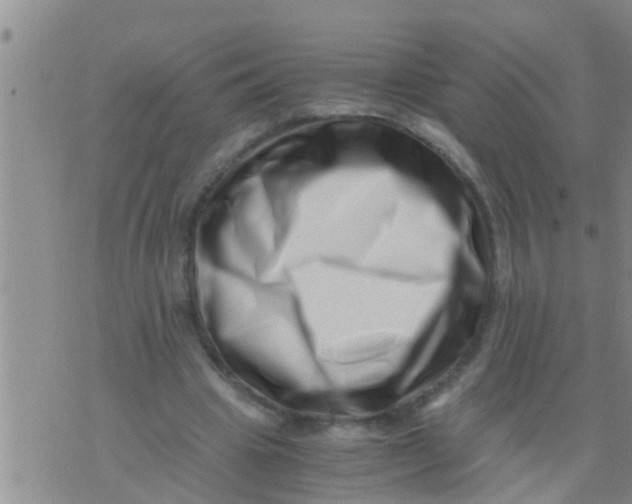 X0000076050441200610152141