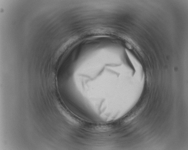 X0000076050445200610152141