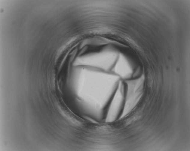 X0000076050446200610152141