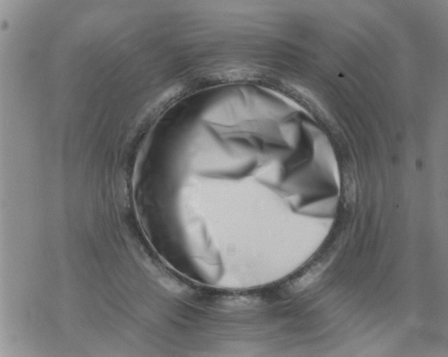 X0000076050453200610152141