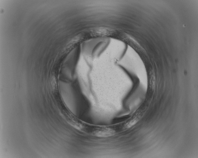 X0000076050459200610152142