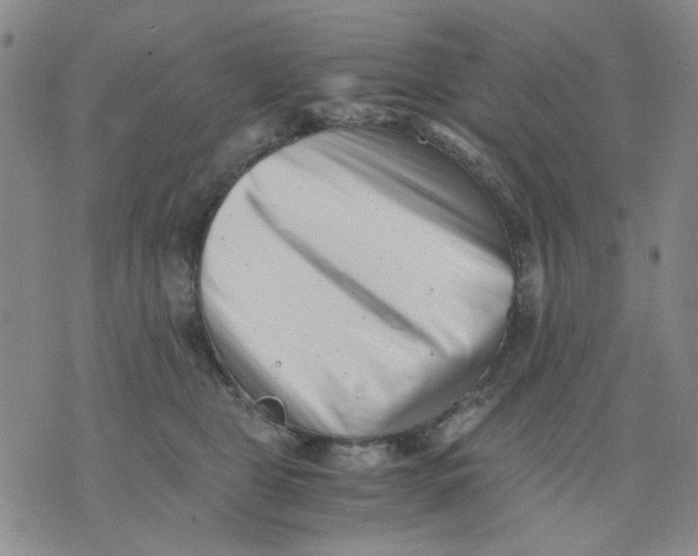 X0000076050469200610152142