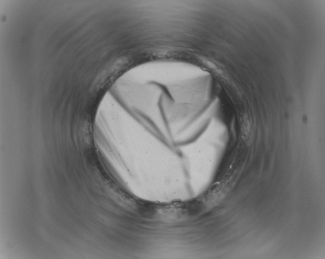 X0000076050470200610152142