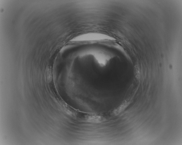 X0000076050471200610152142