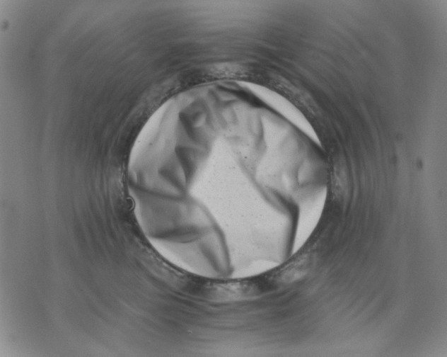X0000076050473200610152142