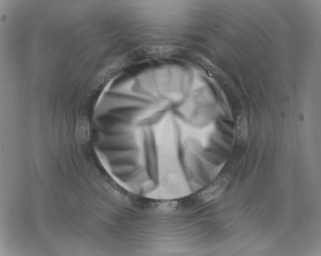X0000076050474200610152142