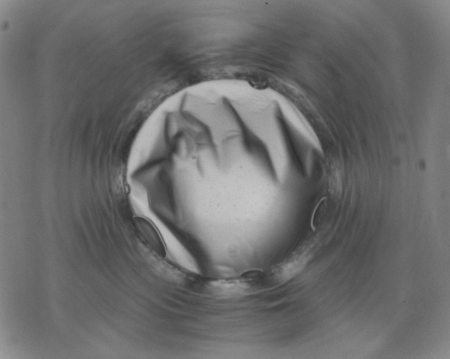 X0000076050477200610152142