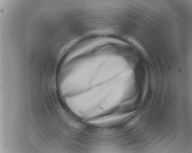 X0000076050486200610152141