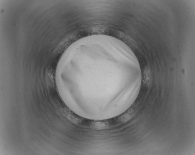 X0000076050522200610152140