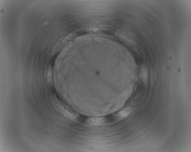 X0000076050526200610152140