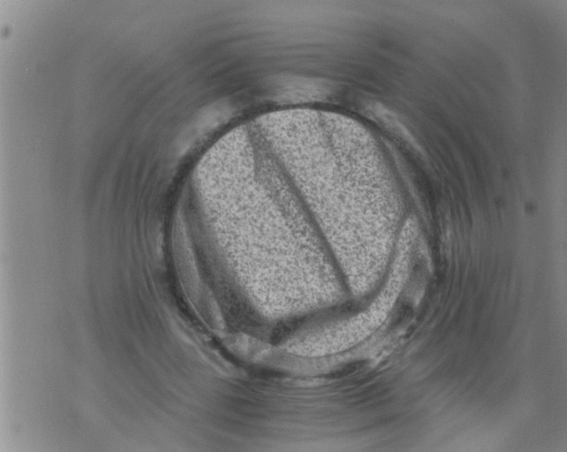X0000076050539200610152140