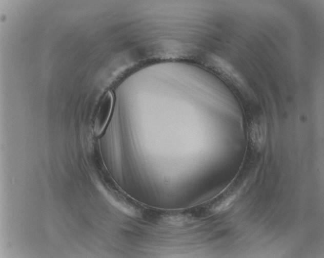 X0000076050540200610152140
