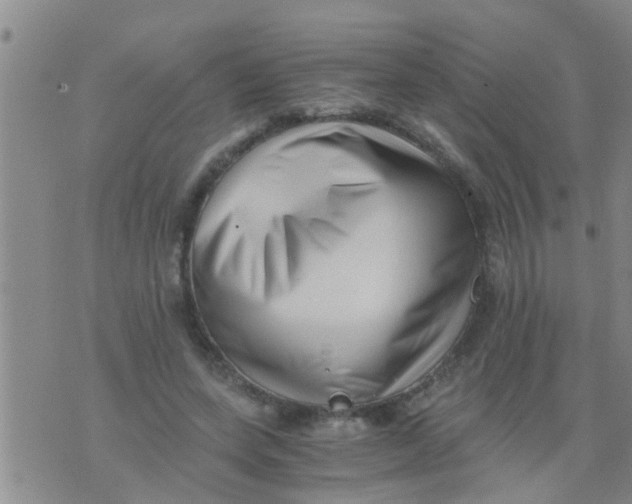 X0000076050543200610152140