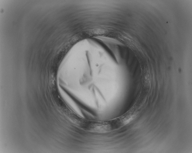 X0000076050555200610152140