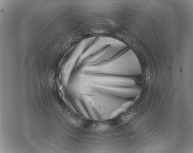 X0000076050559200610152140
