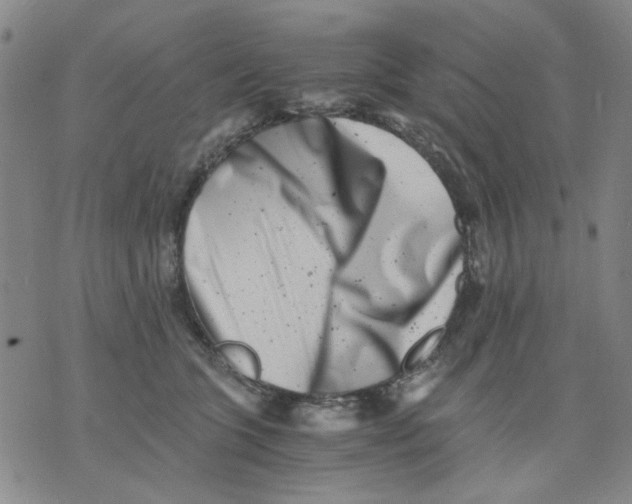 X0000076050563200610152140
