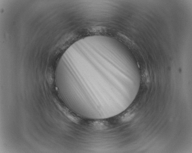 X0000076050566200610152140
