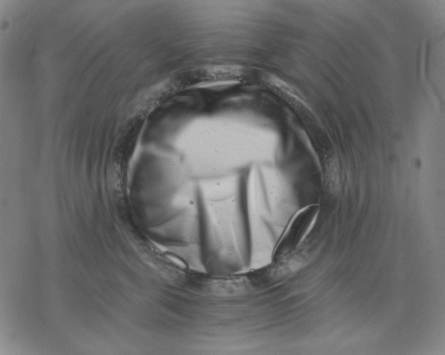 X0000076050571200610152140