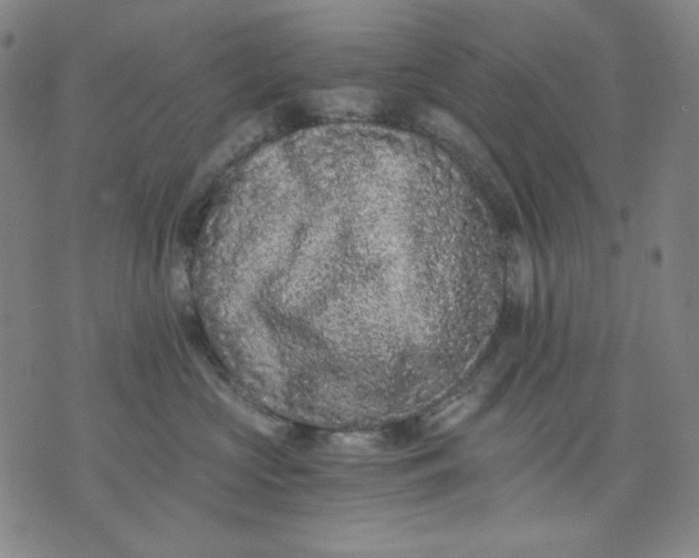X0000076050573200610152140