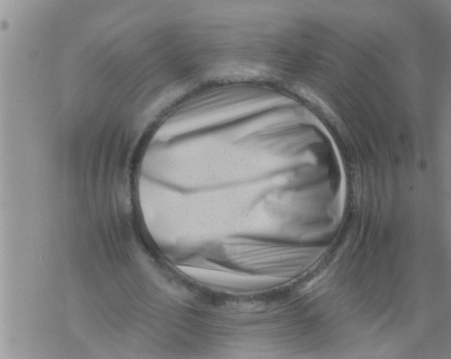 X0000076050582200610152140