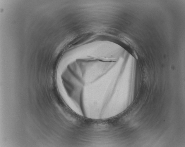 X0000076050586200610152139