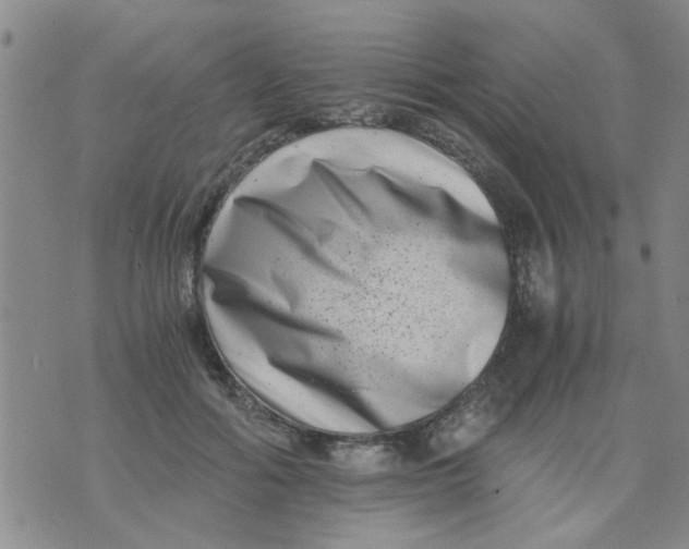 X0000076050602200610152139