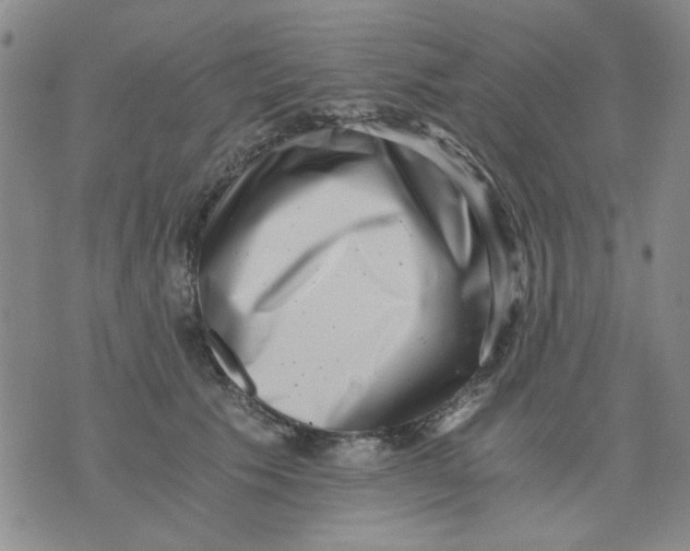 X0000076050609200610152139