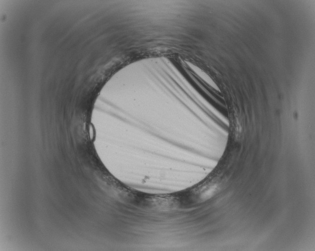 X0000076050615200610152139