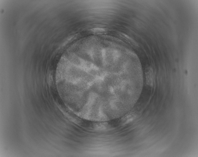 X0000076050618200610152139