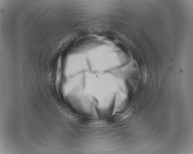 X0000076050619200610152139