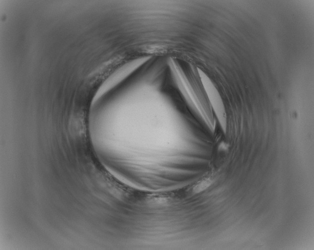 X0000076050620200610152139