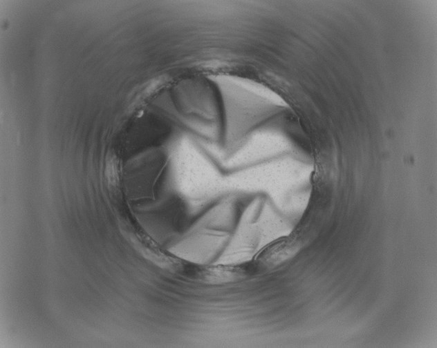 X0000076050623200610152139
