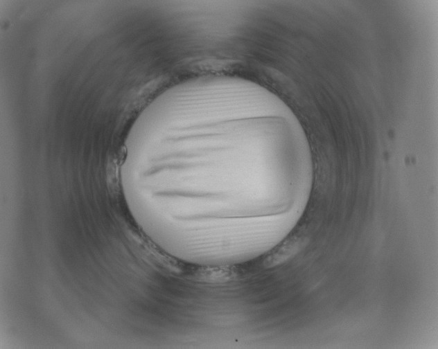X0000076050624200610152139