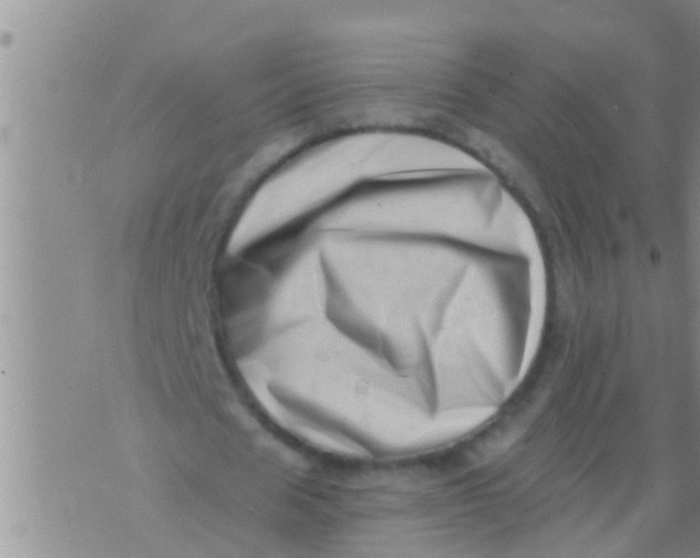 X0000076050625200610152138