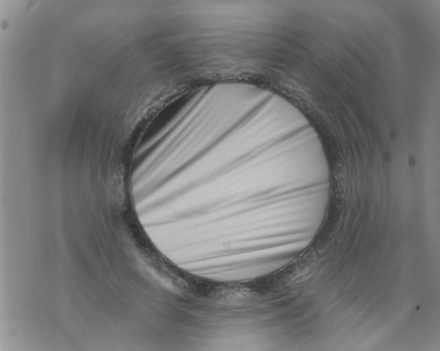 X0000076050642200610152138