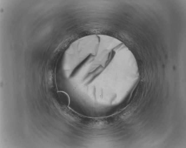 X0000076050646200610152138