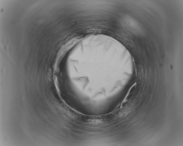 X0000076050649200610152138