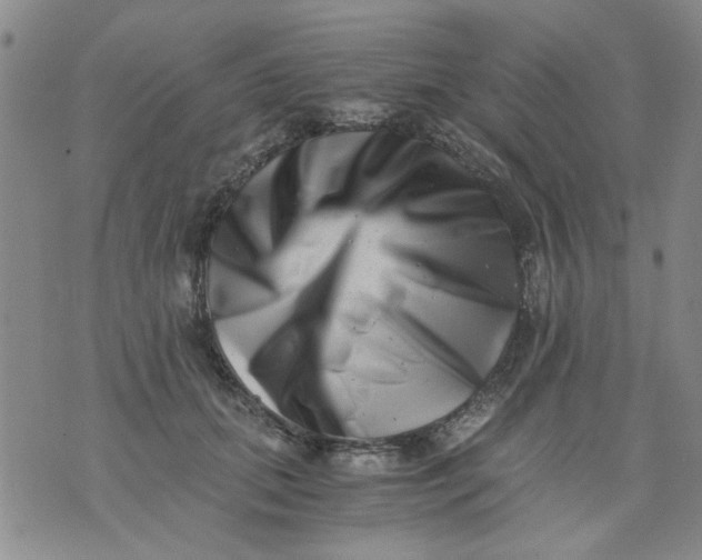 X0000076050655200610152139