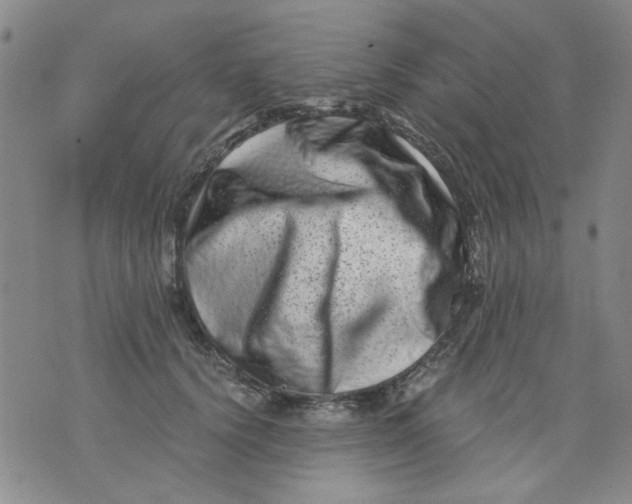 X0000076050656200610152139