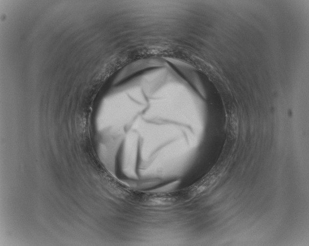 X0000076050657200610152139