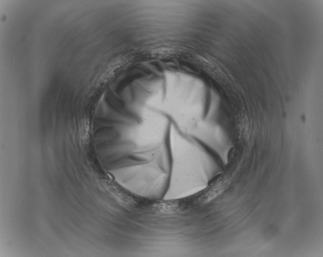 X0000076050660200610152139