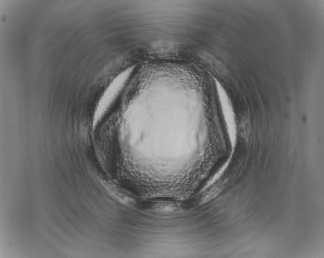 X0000076050662200610152139