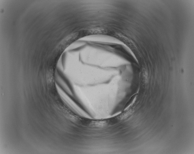 X0000076050665200610152139