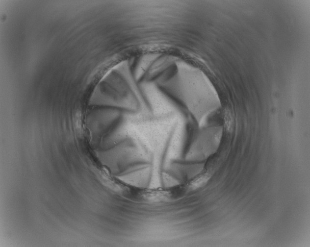 X0000076050670200610152139