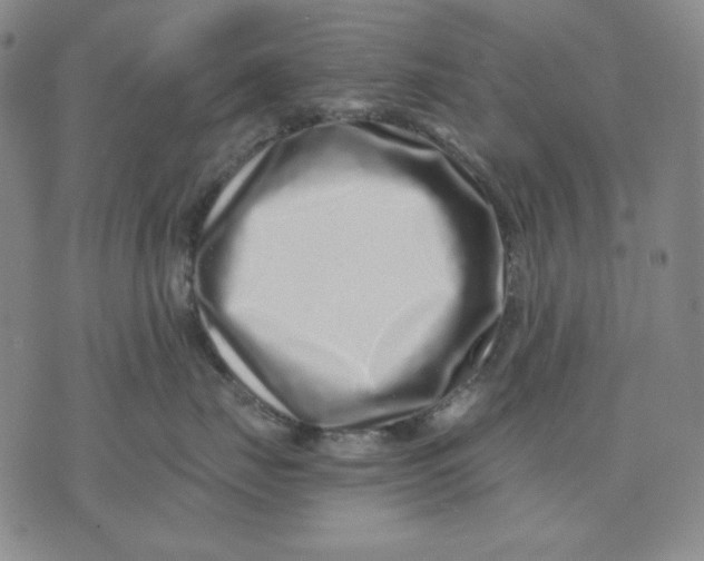 X0000076050671200610152139