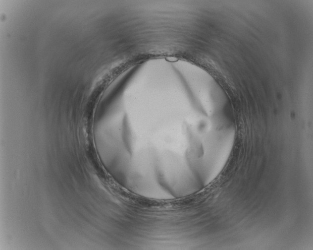 X0000076050688200610152138