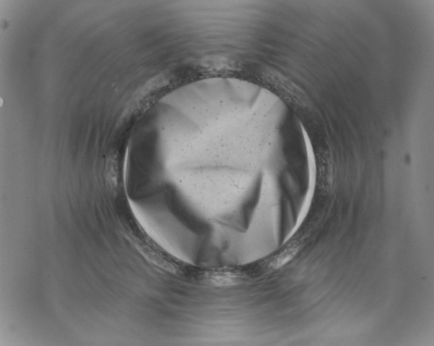 X0000076050710200610152137