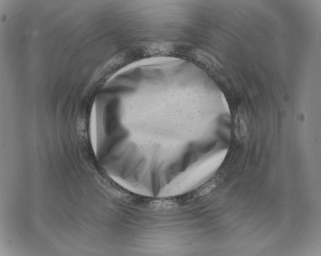 X0000076050714200610152137
