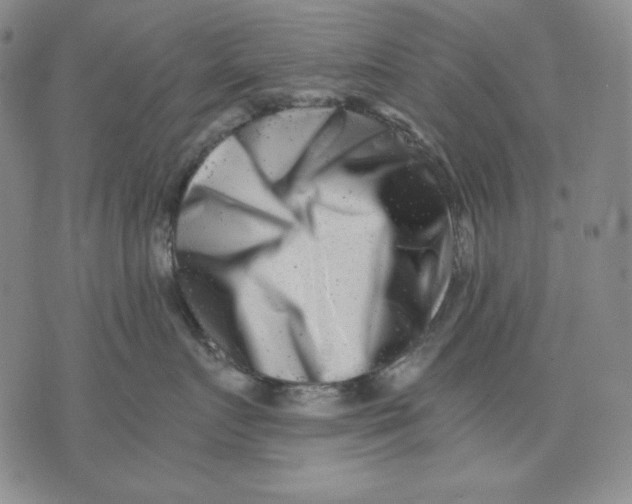 X0000076050719200610152137