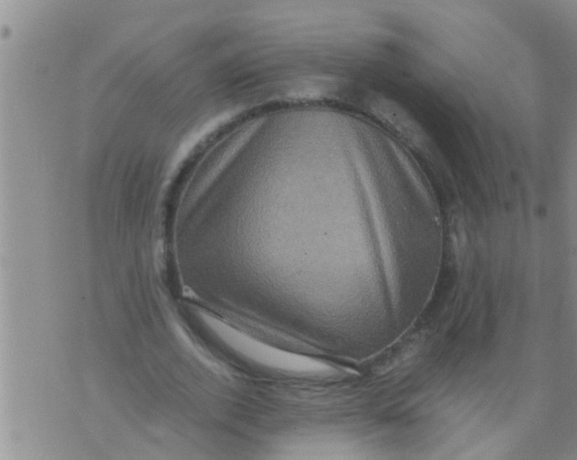 X0000076050728200610152137